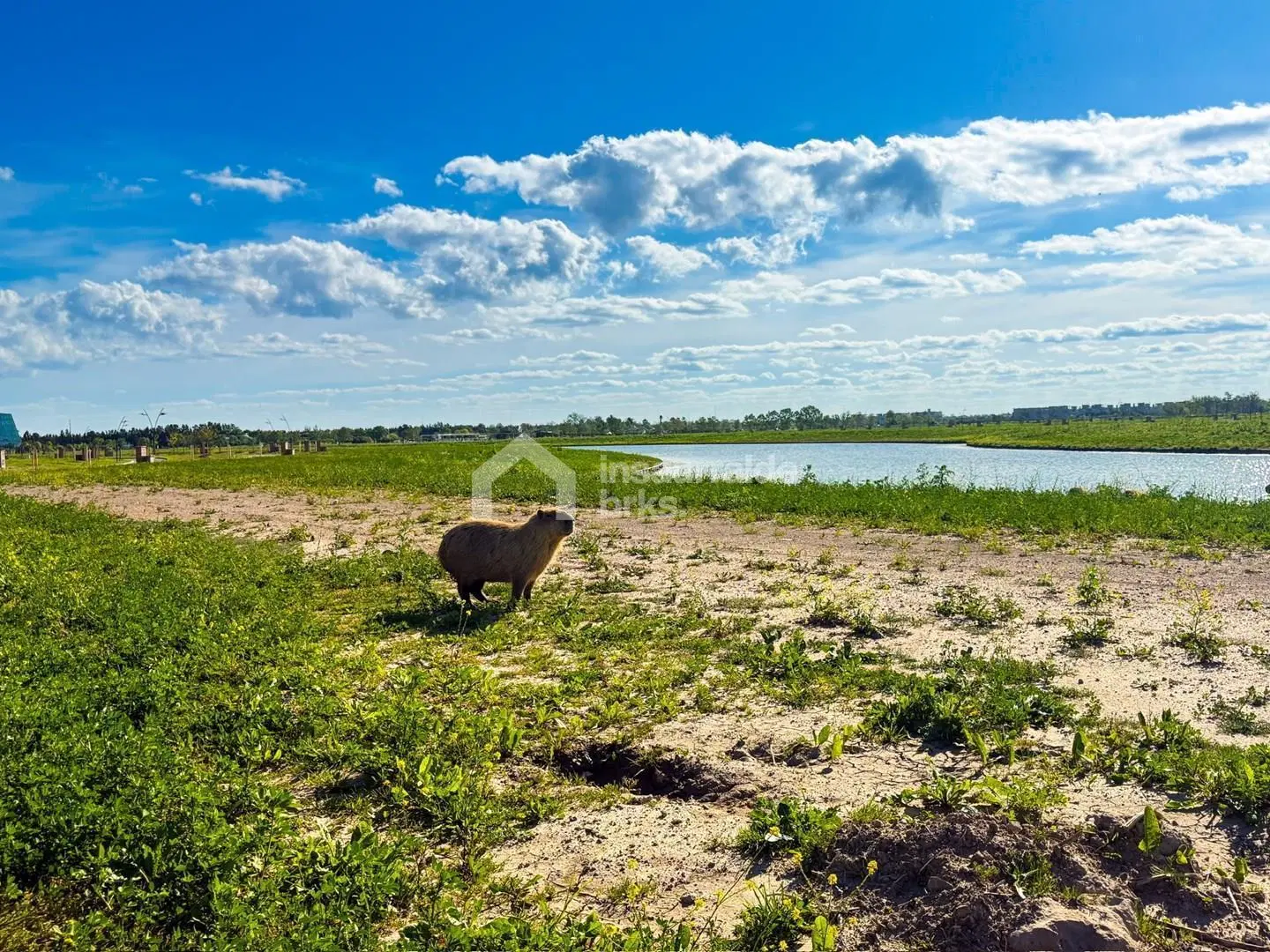 LOTE EN VENTA AL AGUA EN BARRIO SILVESTRE NORDELTA-TIGRE! 3