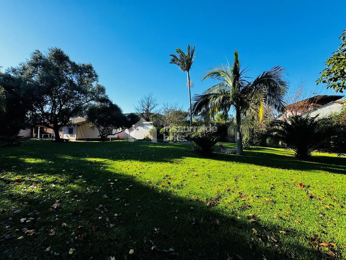 ALQUILO CASA DE DOS DORMITORIOS Y PARQUE DE 1200 M2 EN PACHECO, TIGRE! 2