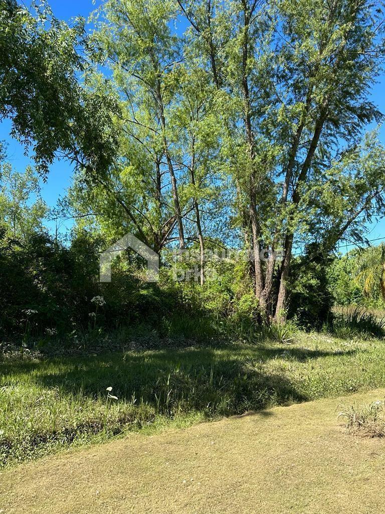 Foto de 2 Terrenos - Lotes en Venta arroyo Toro, Zona Delta, Tigre oportunidad, imagen 5