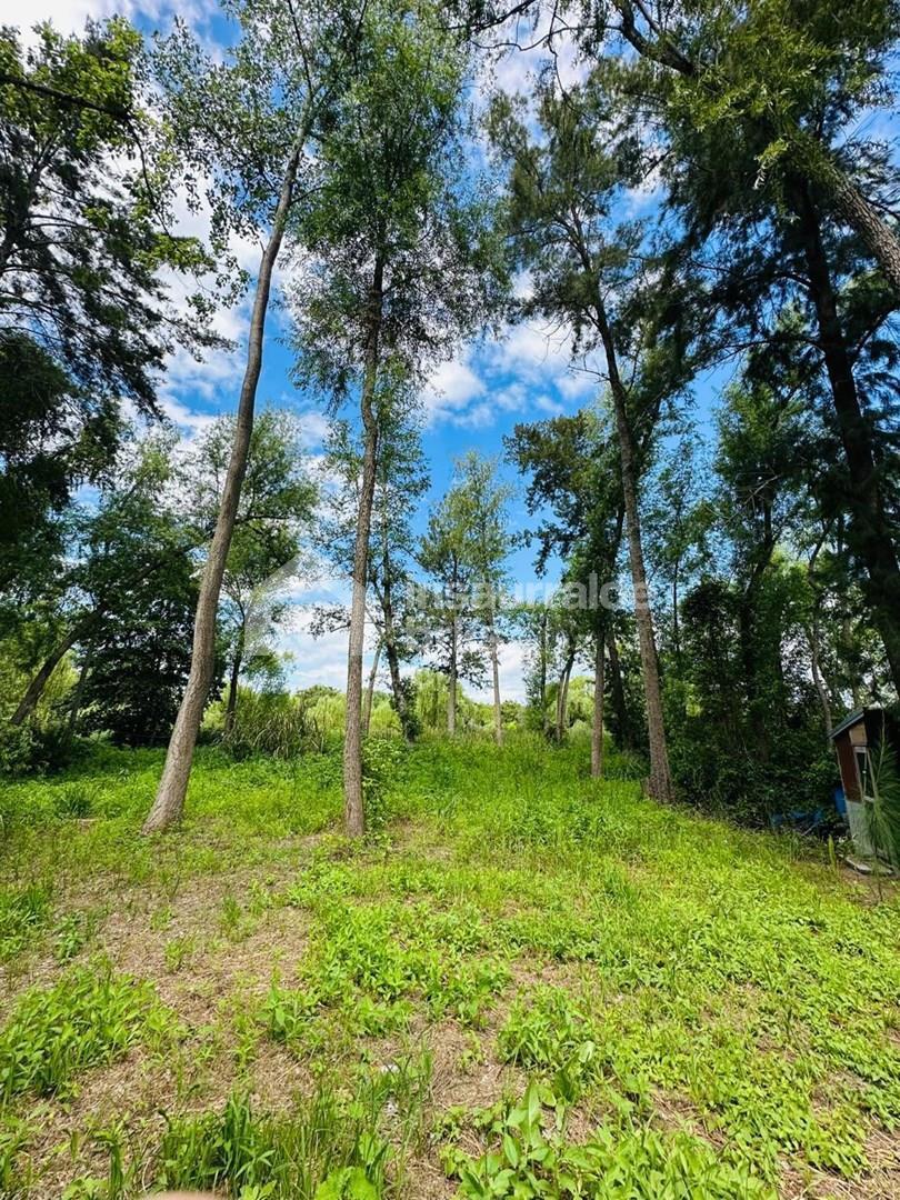Foto de Venta terreno, lote, en Delta, rio leber, Tigre, G.B.A. ona Norte, imagen 4