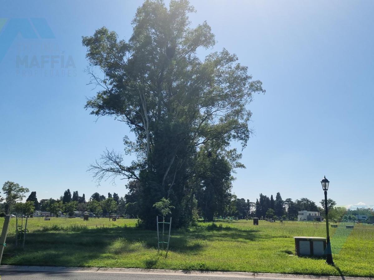Venta de Lote en El Barrio Santa Sofia 5