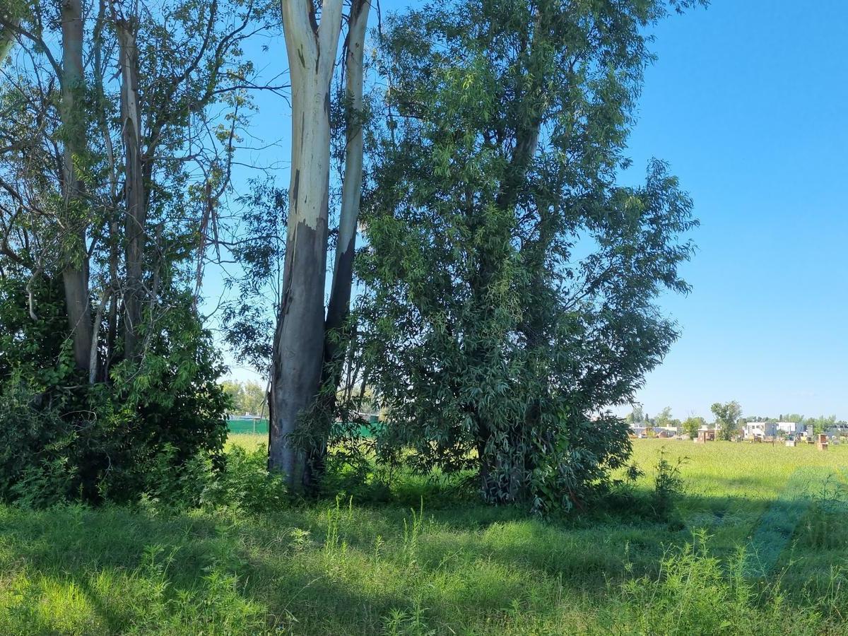 Venta de Lote en El Barrio Santa Sofia 4