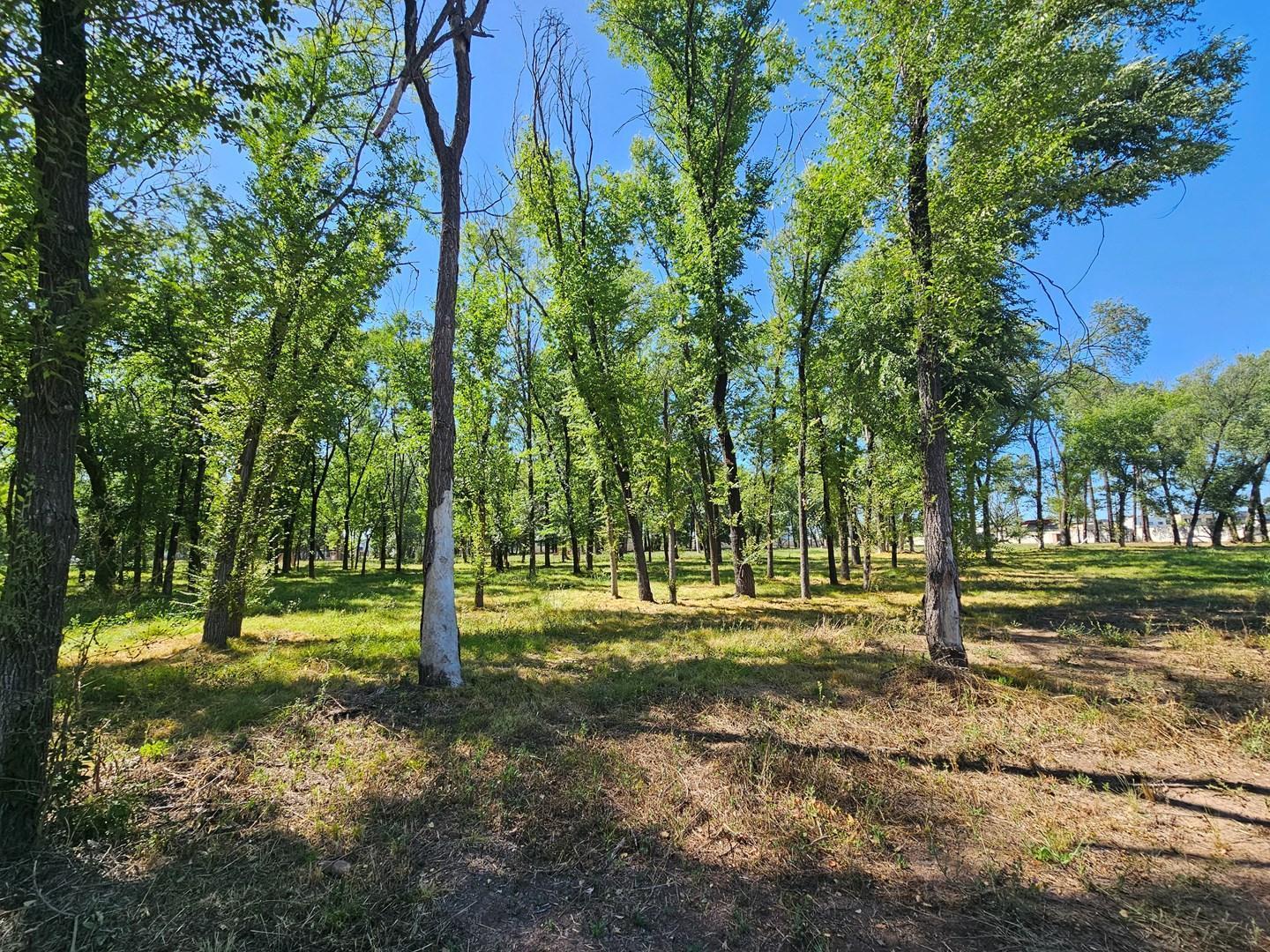 Terreno Lote en Venta en Almahue, La Lonja, Pilar
