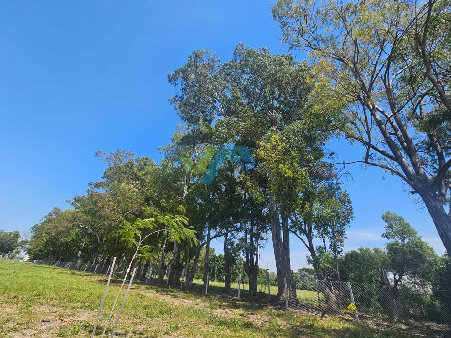 Terreno Lote en Venta en Santa Sofía, Pilar del Este, Pilar