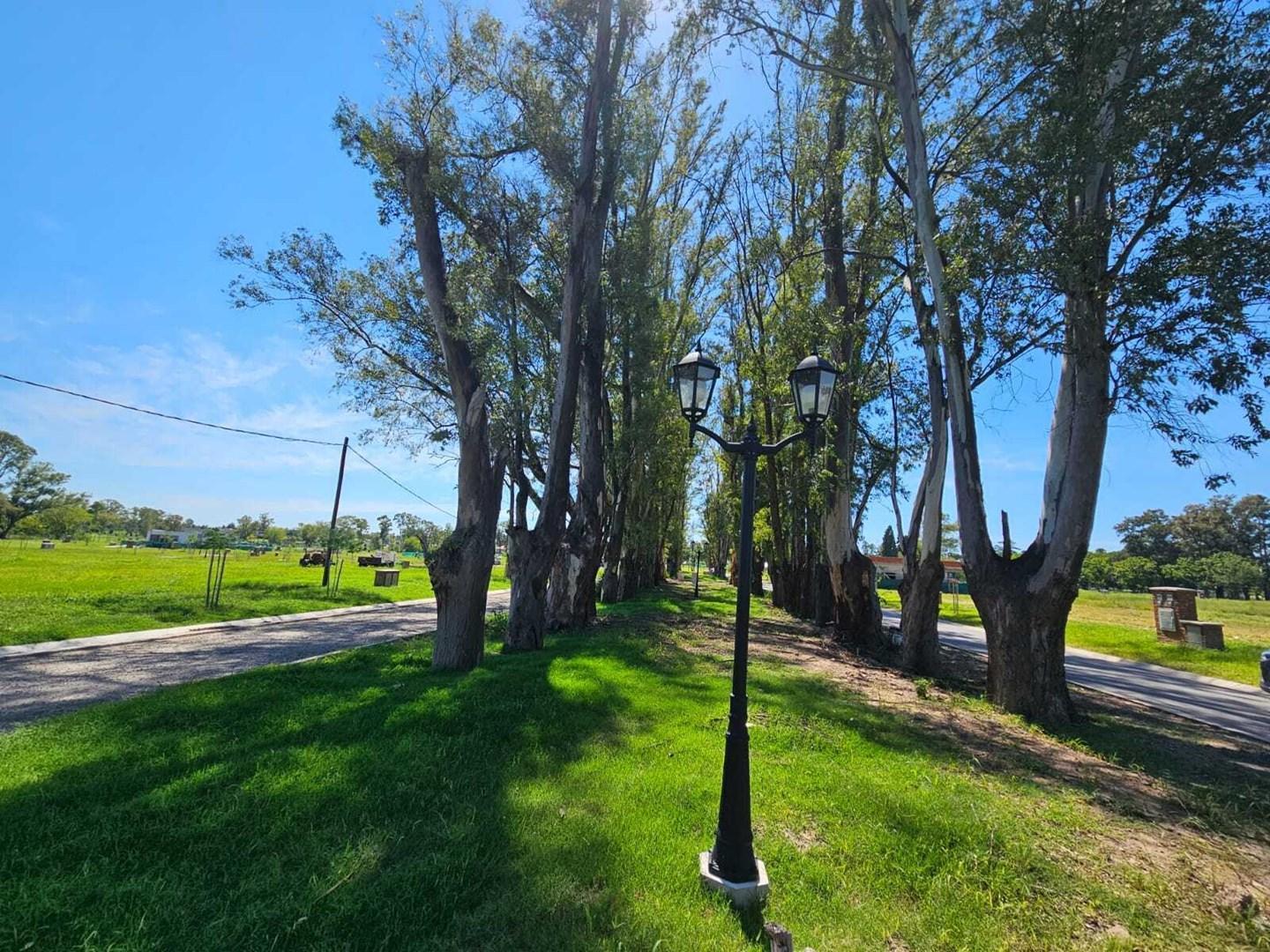 Foto de Terreno Lote en Venta en Santa Sofía, Pilar del Este, Pilar, imagen 5