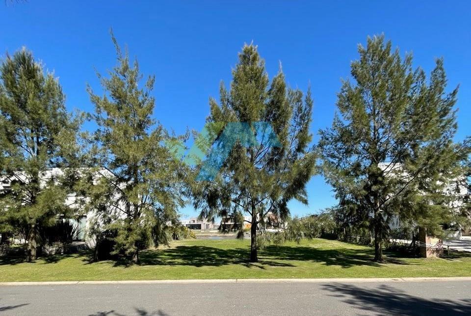 Foto de Lote a la laguna en Naudir etapa 1, imagen 5