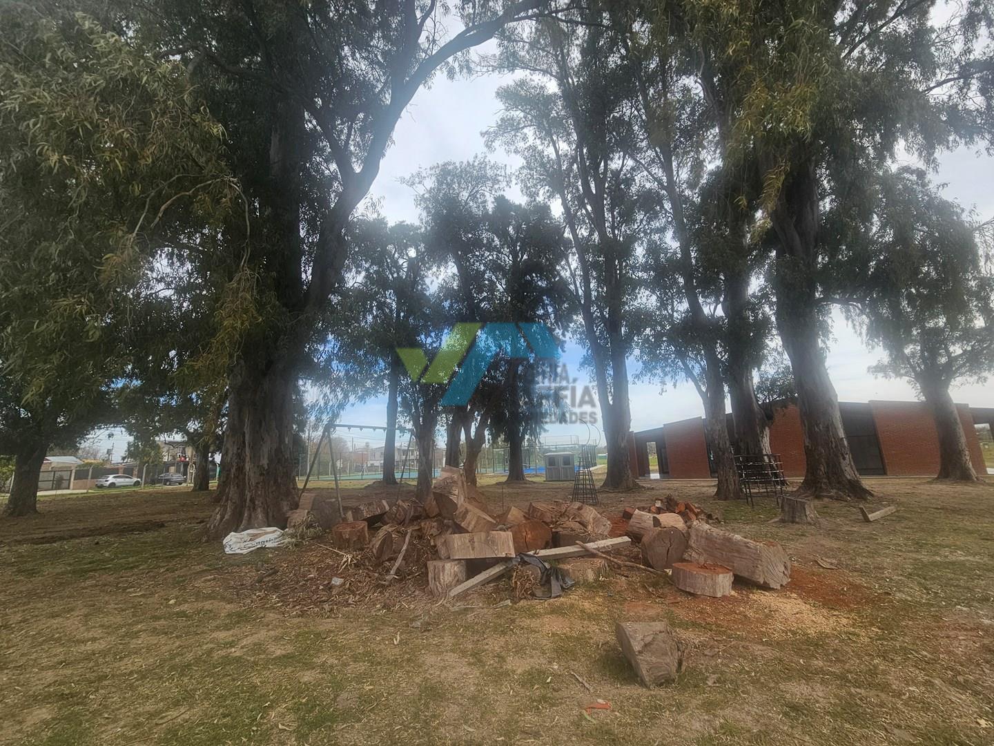 Foto de Terreno Lote en Venta en San Pablo Chico, Pilar, G.B.A. Zona Norte, imagen 3