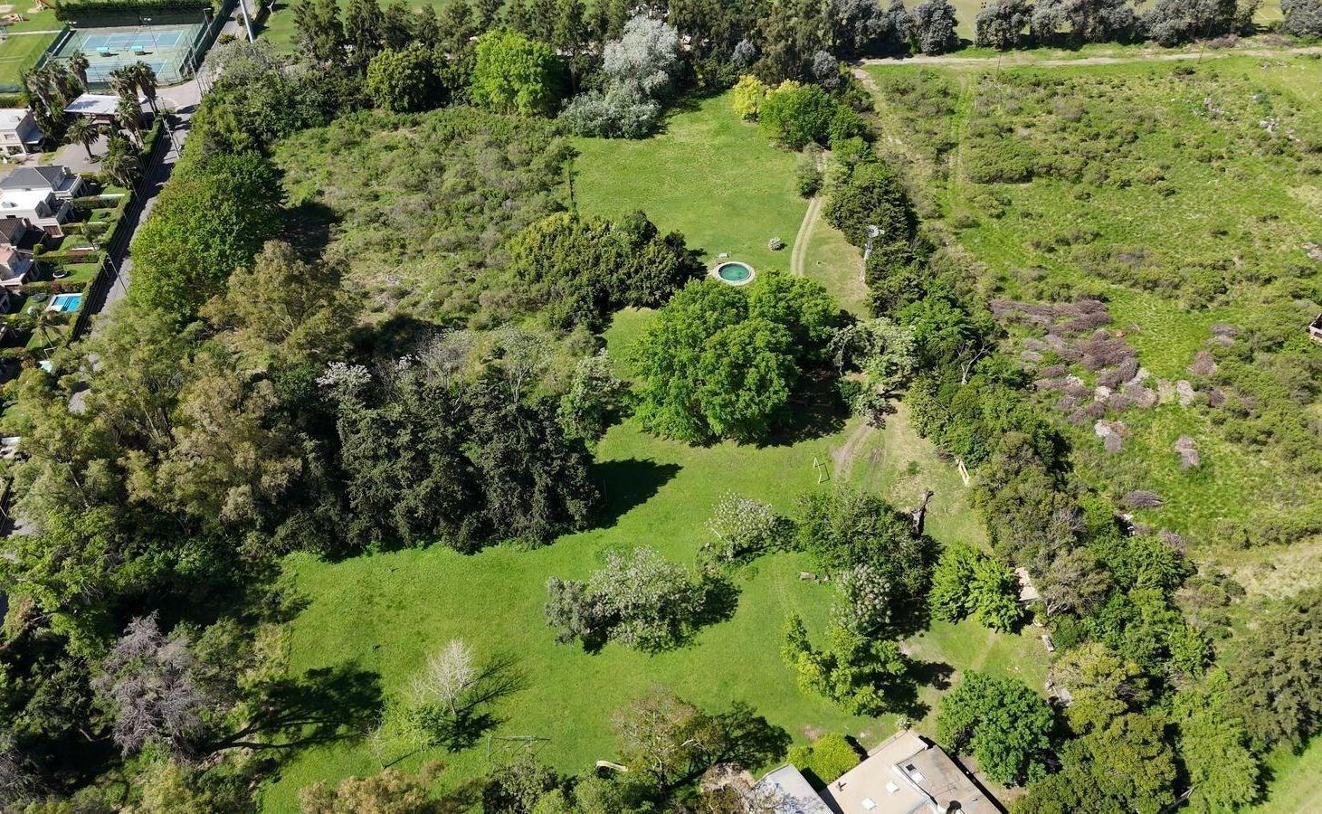 Foto de Terreno Campo en Venta en ZUG Caamaño, La Lonja, Pilar, imagen 2