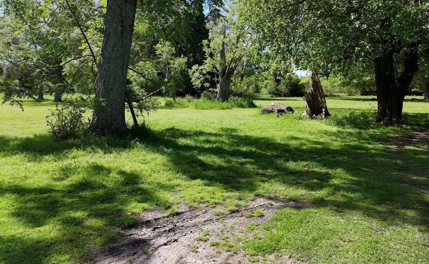 Foto de Terreno Campo en Venta en ZUG Caamaño, La Lonja, Pilar, imagen 5