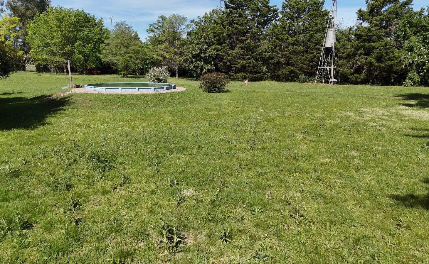Foto de Terreno Campo en Venta en ZUG Caamaño, La Lonja, Pilar, imagen 5
