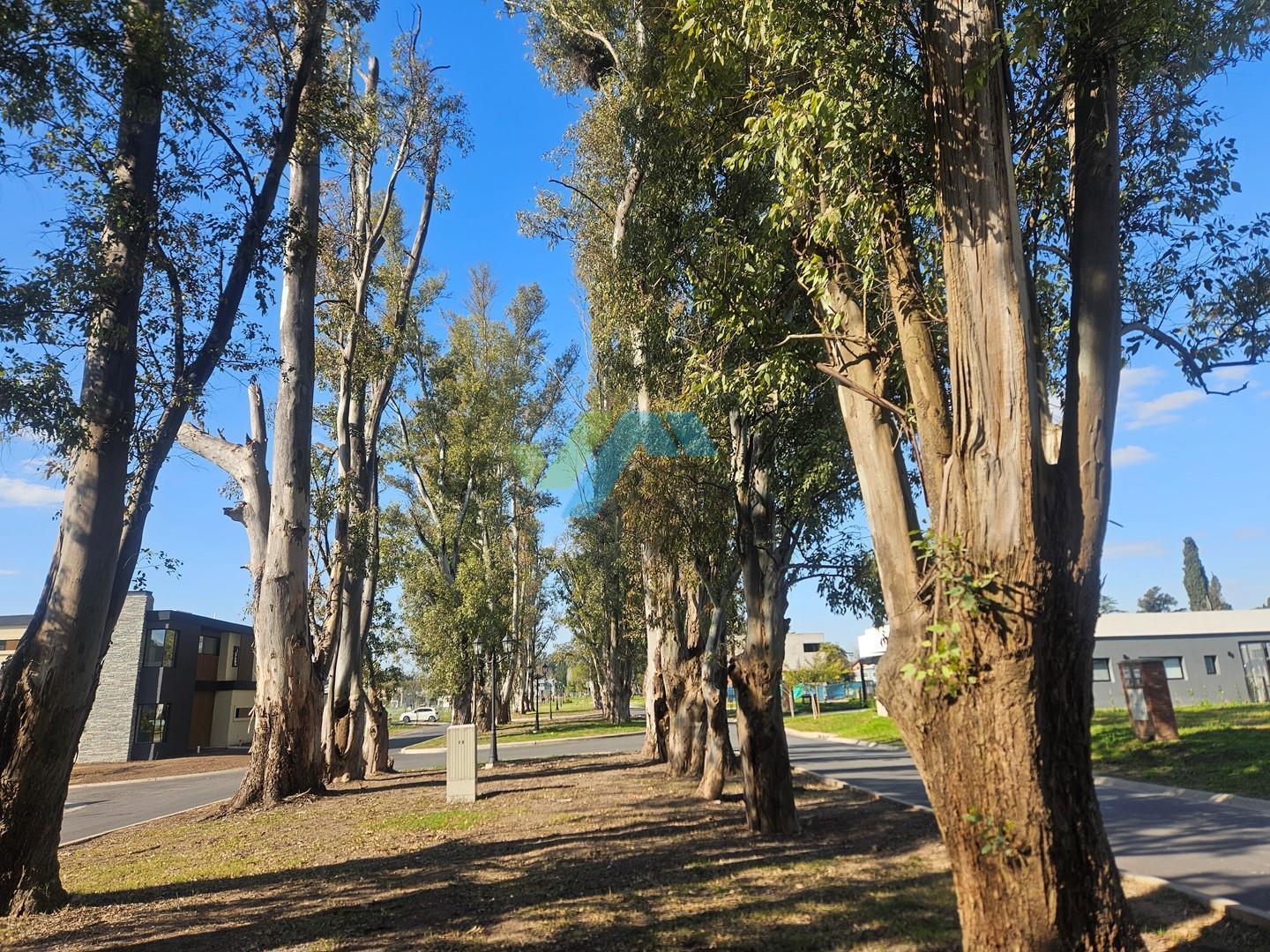 Foto de Casa Chalet en Venta en Santa Sofía, Pilar del Este, Pilar, imagen 3