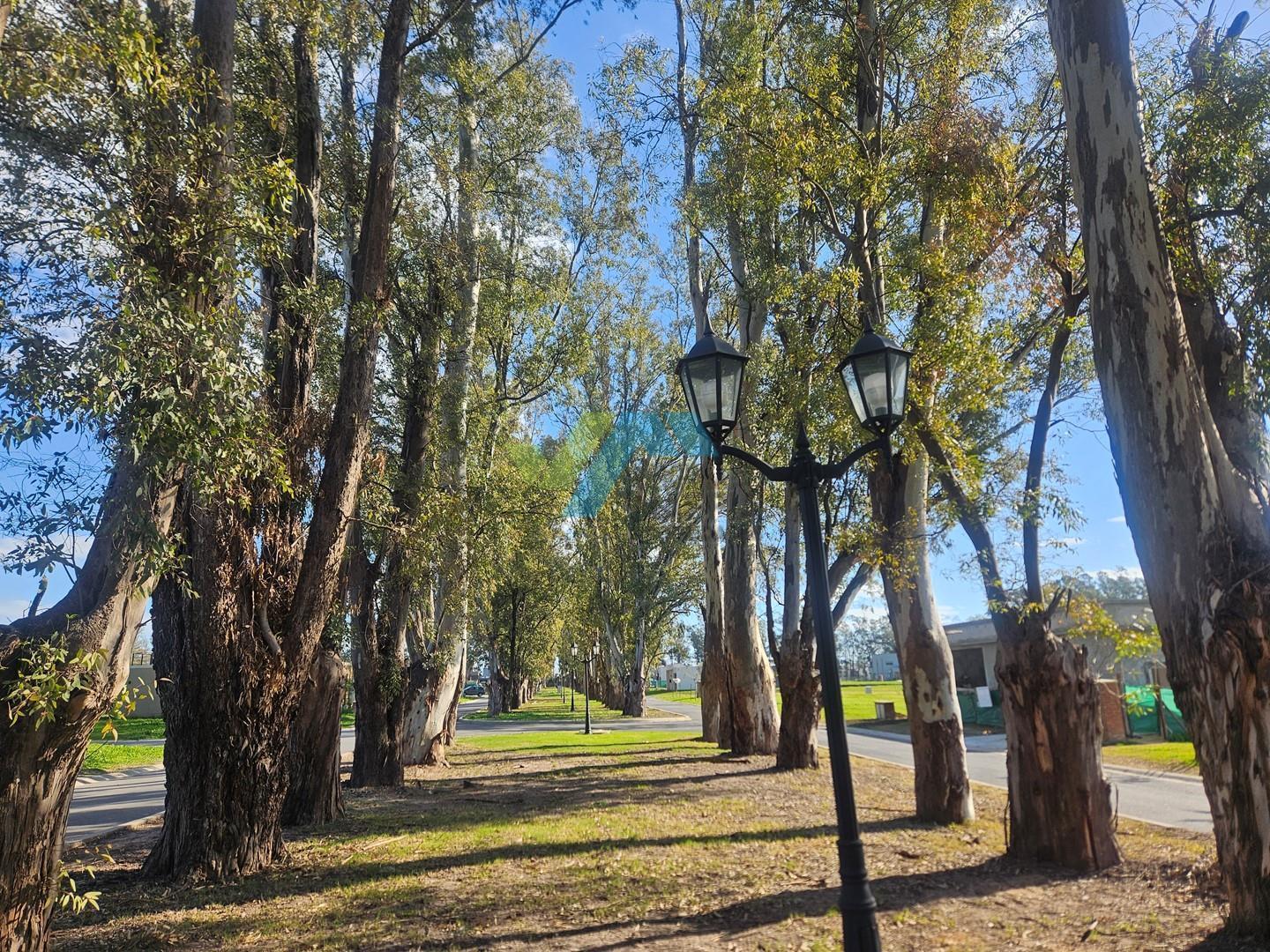 Foto de Casa Chalet en Venta en Santa Sofía, Pilar del Este, Pilar, imagen 2