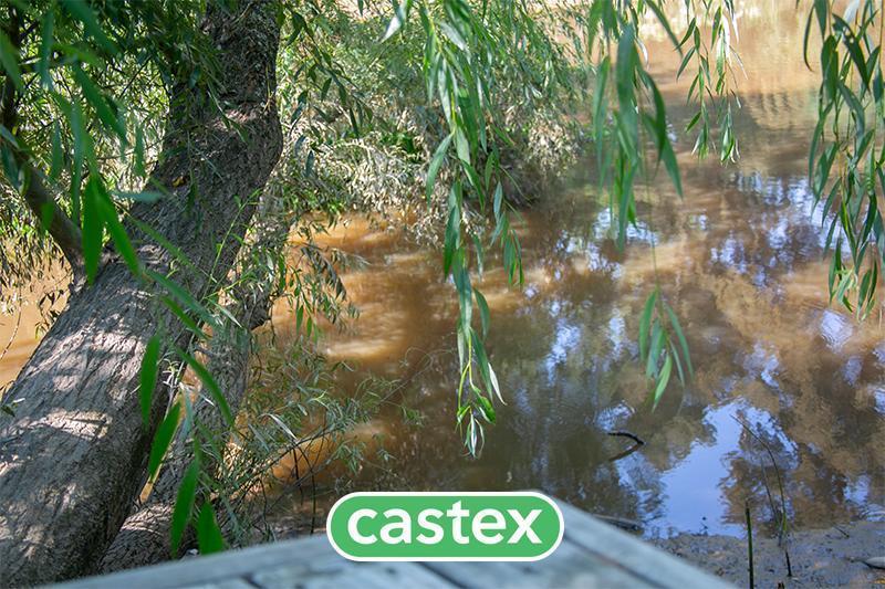 Foto de Lote a la venta en Nativas, Puertos Escobar., imagen 4