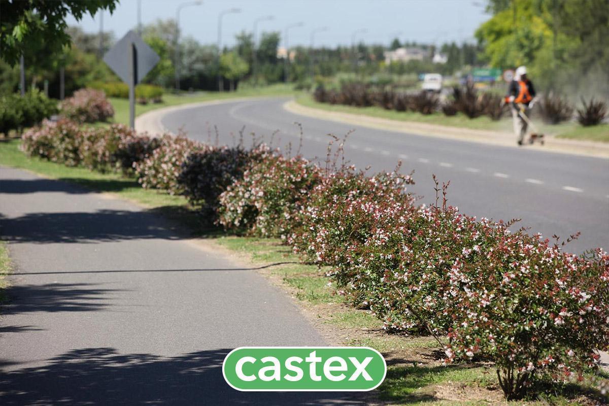 Foto de Lote en Venta con FINANCIACION, Barrio Gaviotas, Nordelta, imagen 3