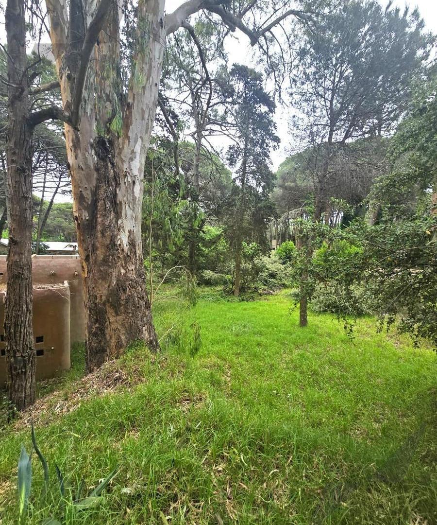 Foto de Terreno en Carilo, imagen 4