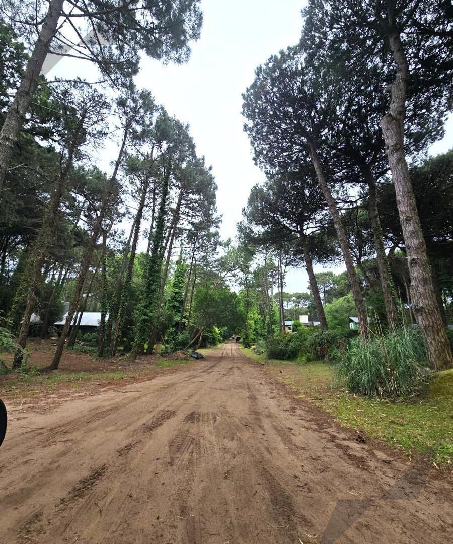 Foto de Terreno en Carilo, imagen 1