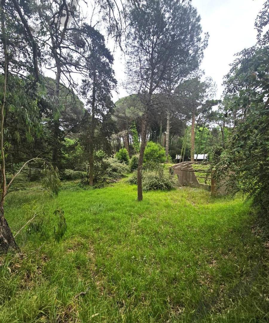 Foto de Terreno en Carilo, imagen 3