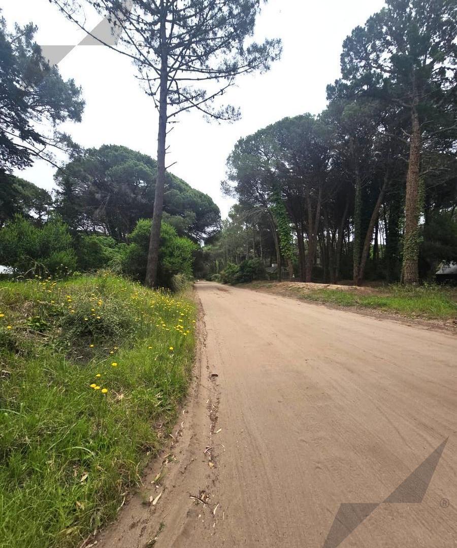 Foto de Terreno en Carilo, imagen 5