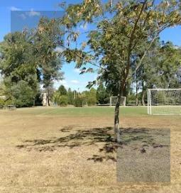 Foto de Terreno en venta en Club de Campo San Francisco, Manzanares, imagen 3