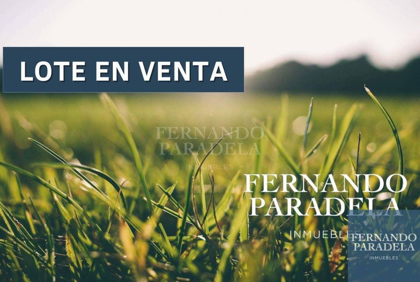 Foto de Terreno / Lote en venta de 64835m2 ubicado en Merlo, imagen 2