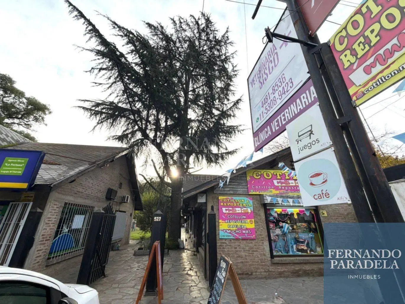 Local comercial en alquiler - Villa Udaondo 4