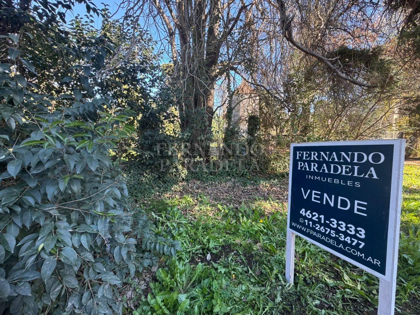 Foto de Lote en venta oportunidad, imagen 4
