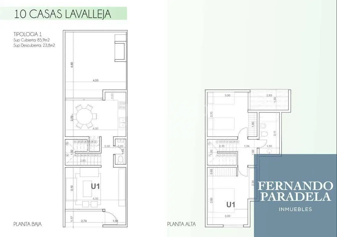 Plano 1