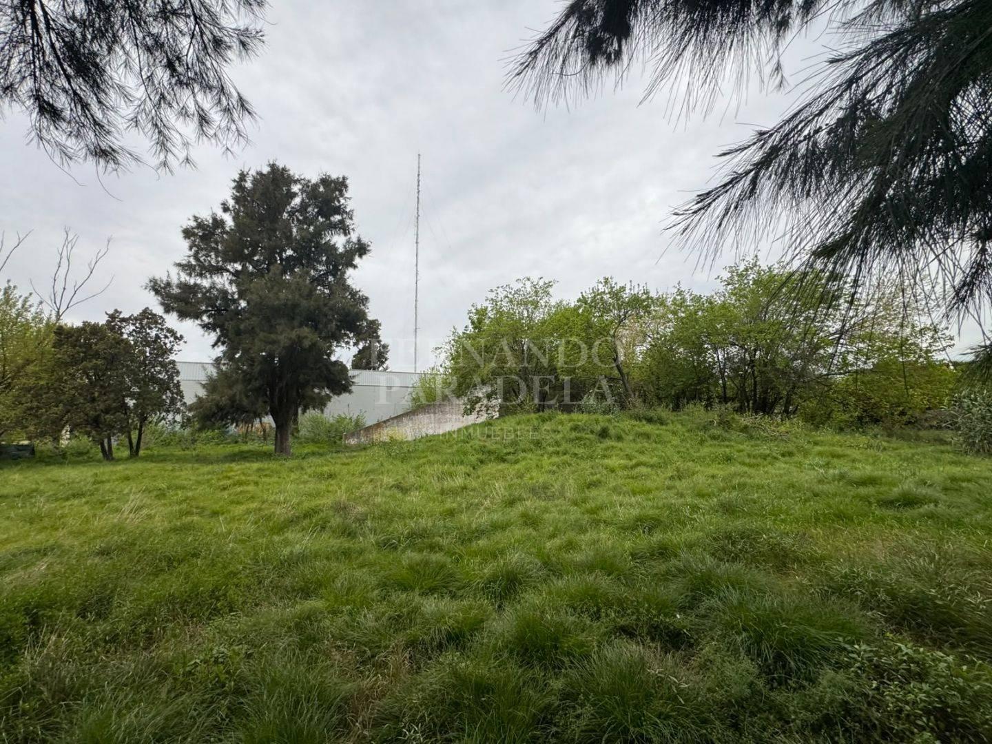 Foto de Lote en alquiler en Parque Leloir, imagen 4