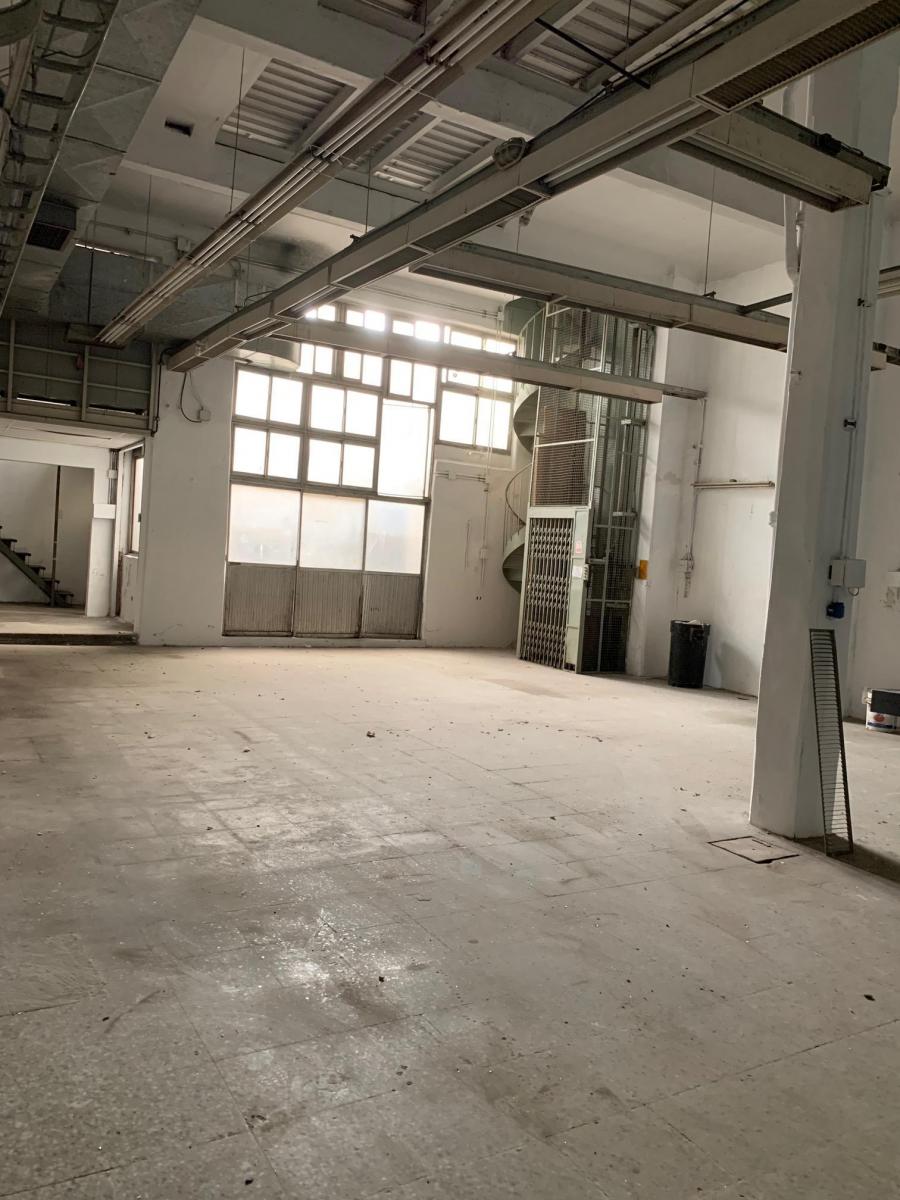 990 m² Deposito con Montacargas 3