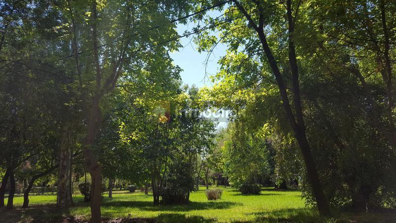 Terreno - Maipu