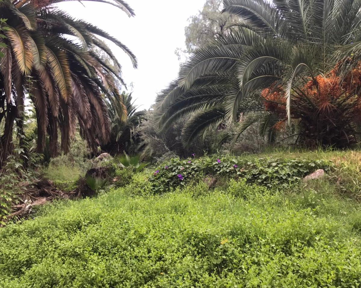 Terreno Para Desarrollo Hotelero y Casa de Casco de Estancia 3