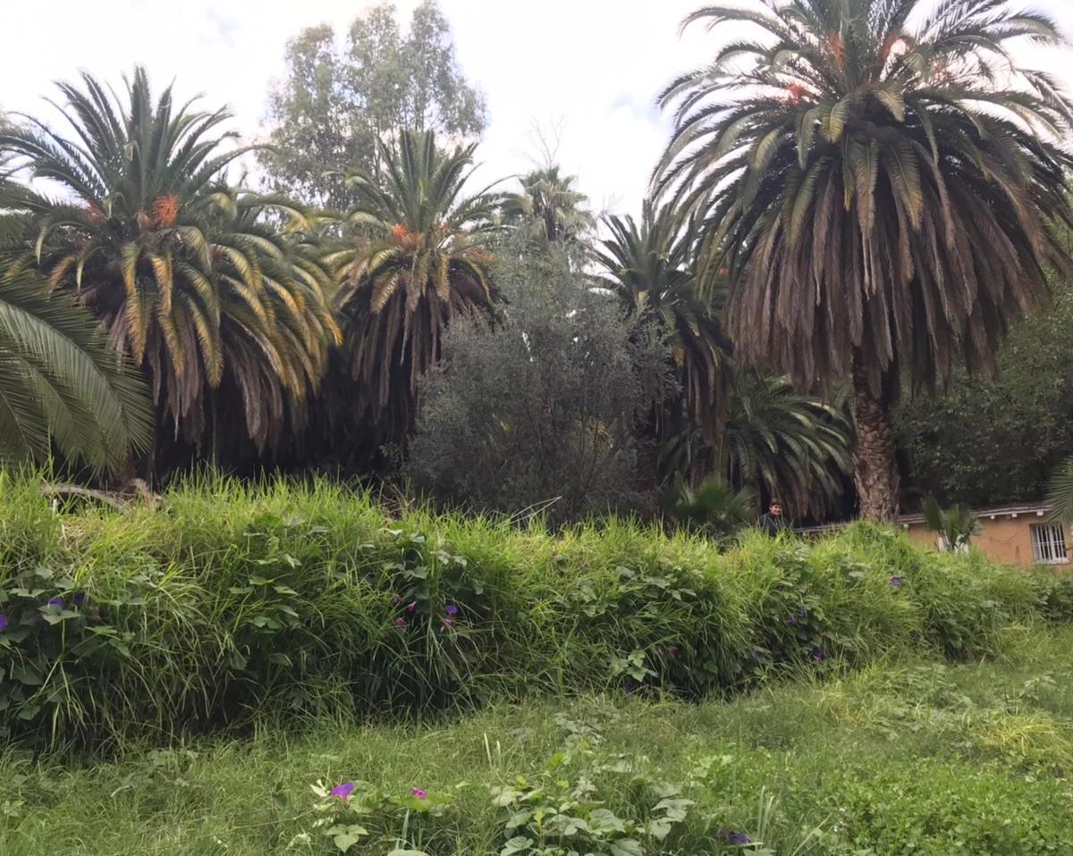 Terreno Para Desarrollo Hotelero y Casa de Casco de Estancia 2
