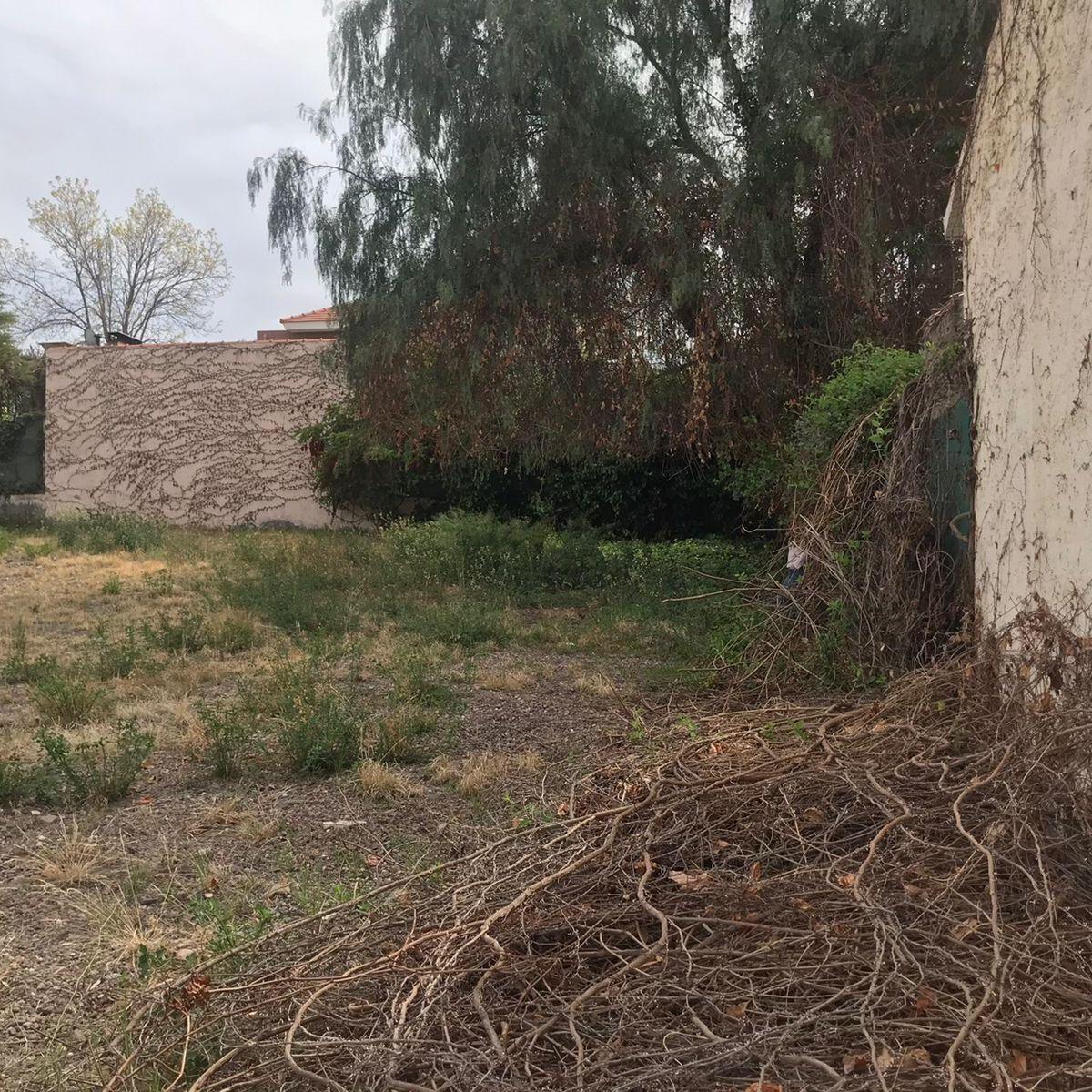 Lote Palmares 3