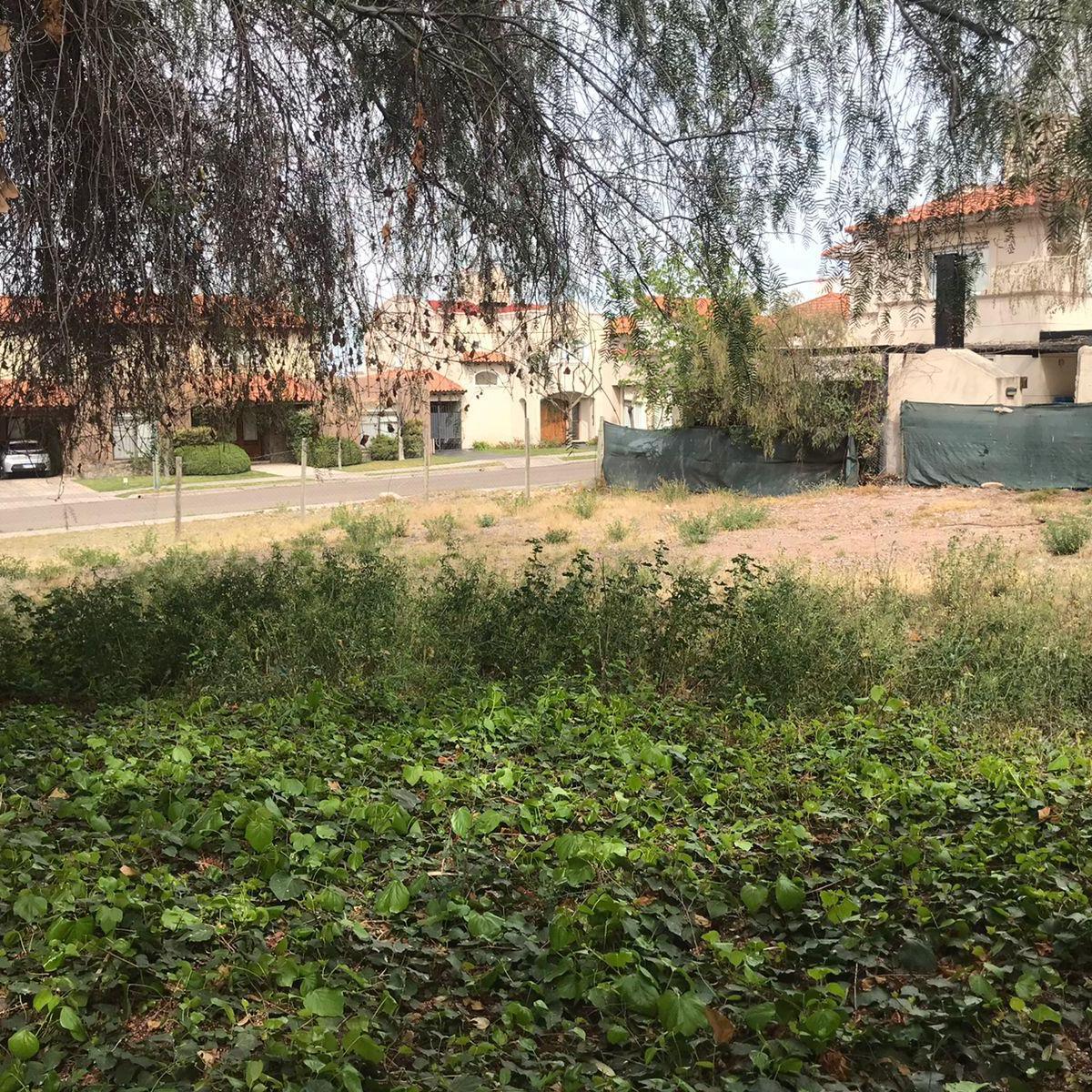 Lote Palmares 1