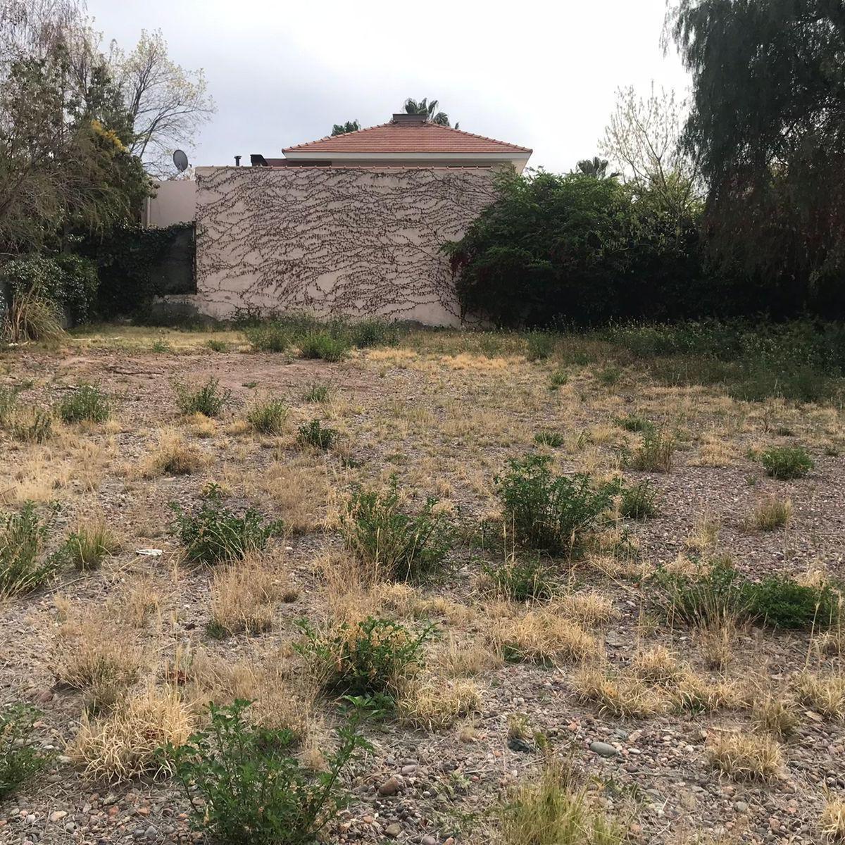 Lote Palmares 2
