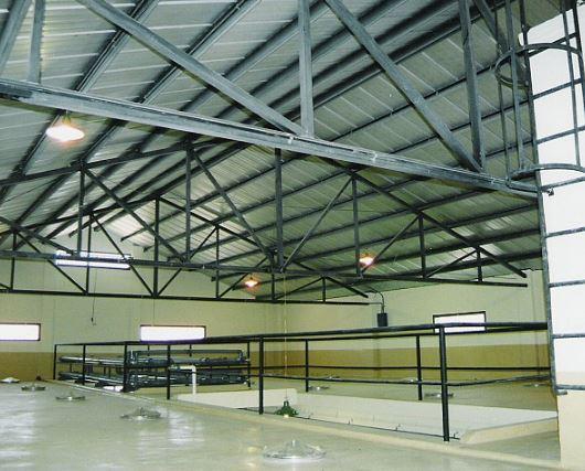 Venta de Bodega en Junín Mendoza 4