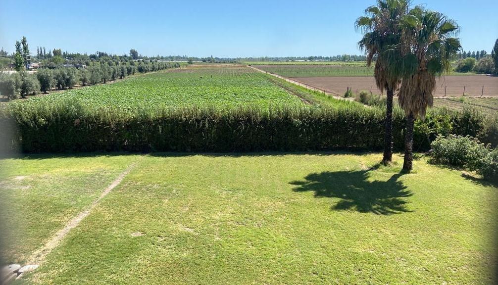 Venta de Bodega en Junín Mendoza 3