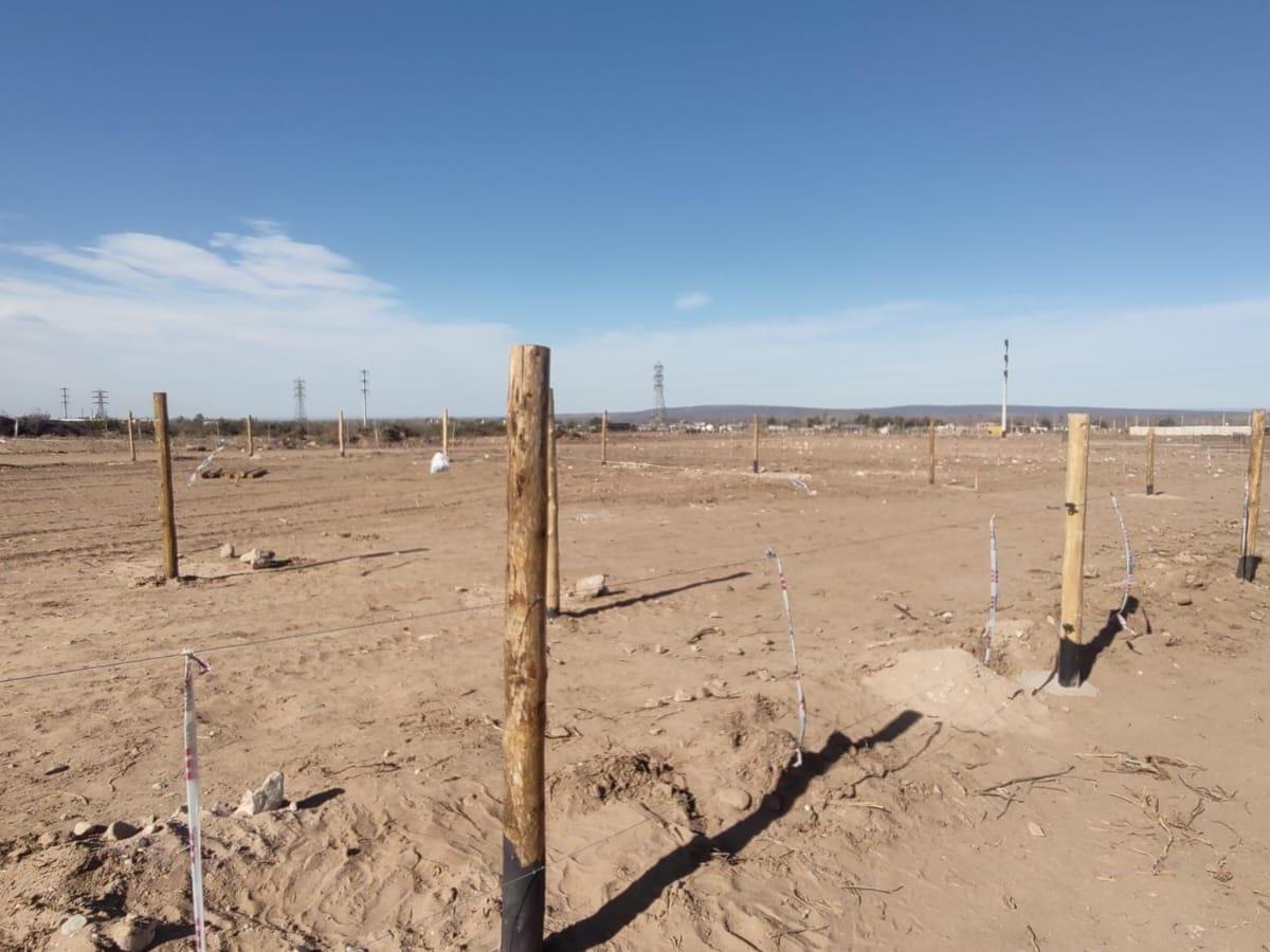 Lote, Terreno Lujan de Cuyo Las Compuertas 2