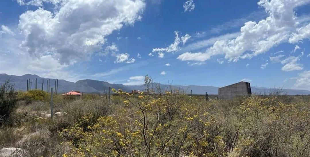 Foto de Lote en venta 2000 m2 Lujan de cuyo, imagen 4