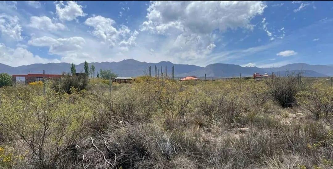 Foto de Lote en venta 2000 m2 Lujan de cuyo, imagen 5