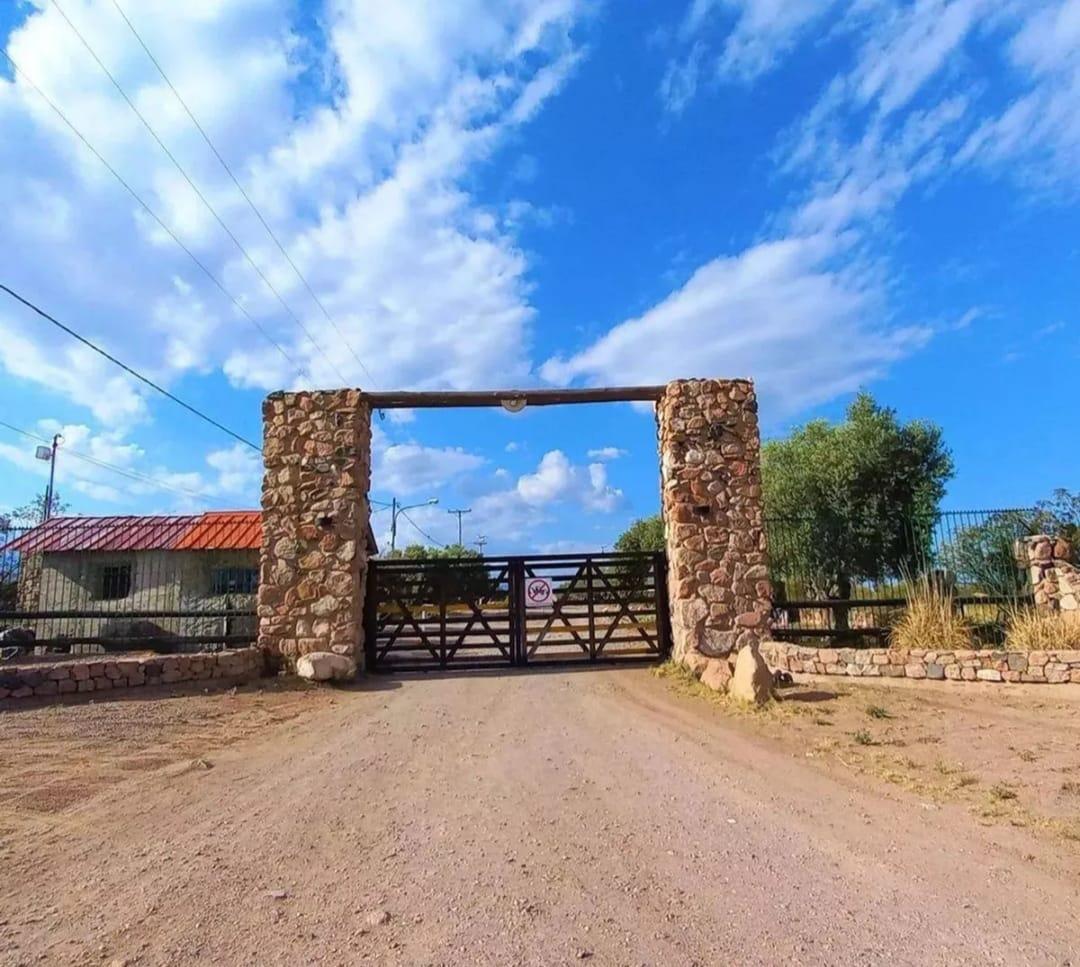 Foto de Lote en venta 2000 m2 Lujan de cuyo, imagen 2