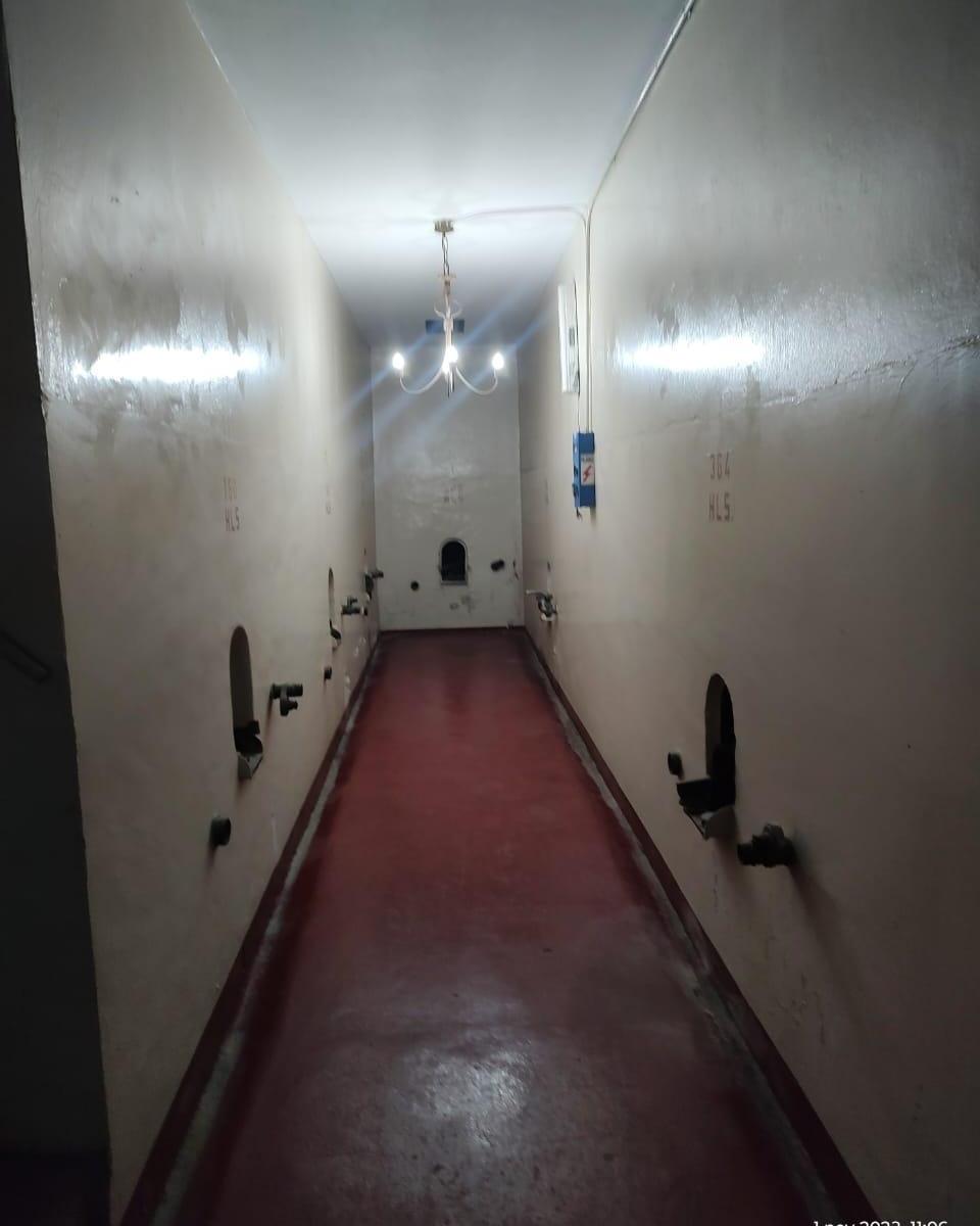 Foto de Bodega en alquiler, imagen 5