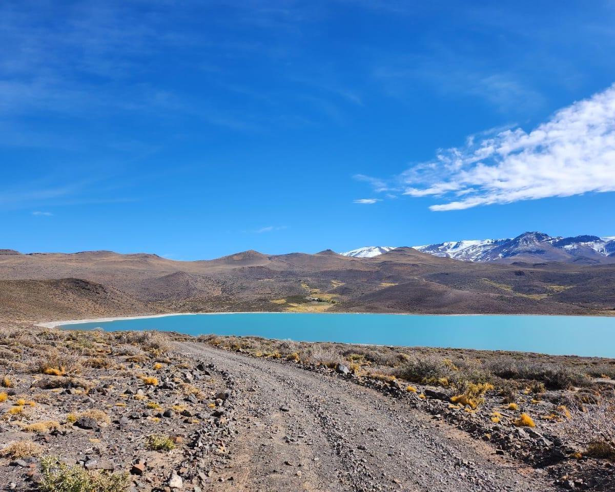 Campo Malargüe - Mendoza - Argentina 3