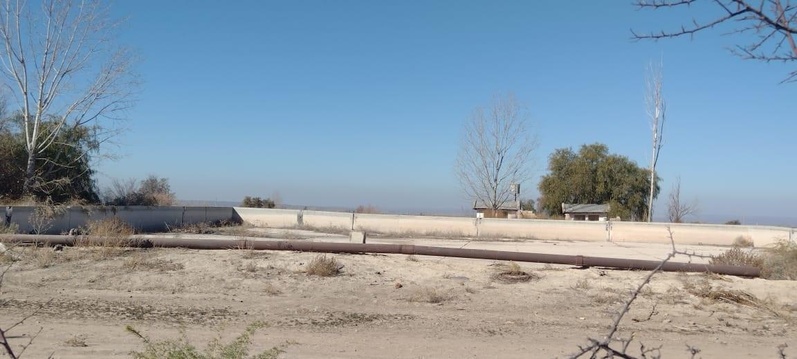 Finca 70 Has Inculta Ugarteche Luján Cuyo Apta Viñedos y Chacra 3
