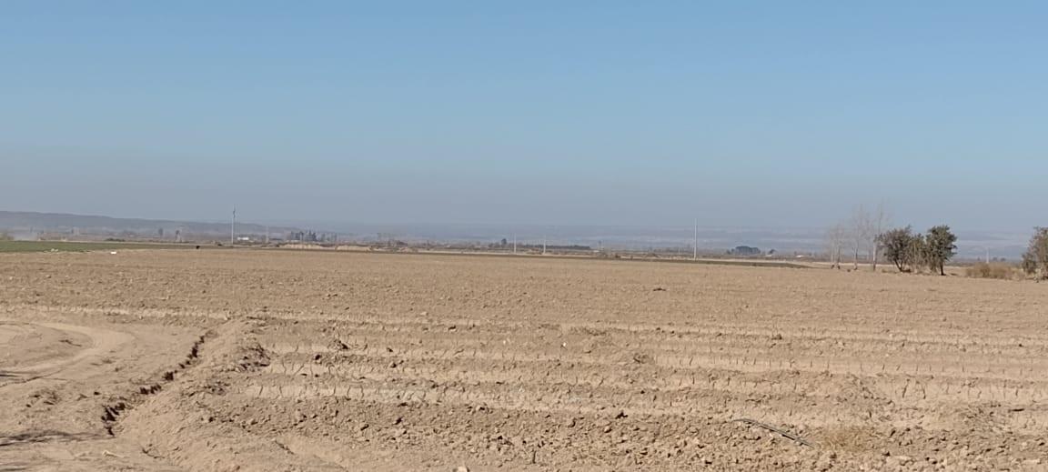 Finca 70 Has Inculta Ugarteche Luján Cuyo Apta Viñedos y Chacra 2
