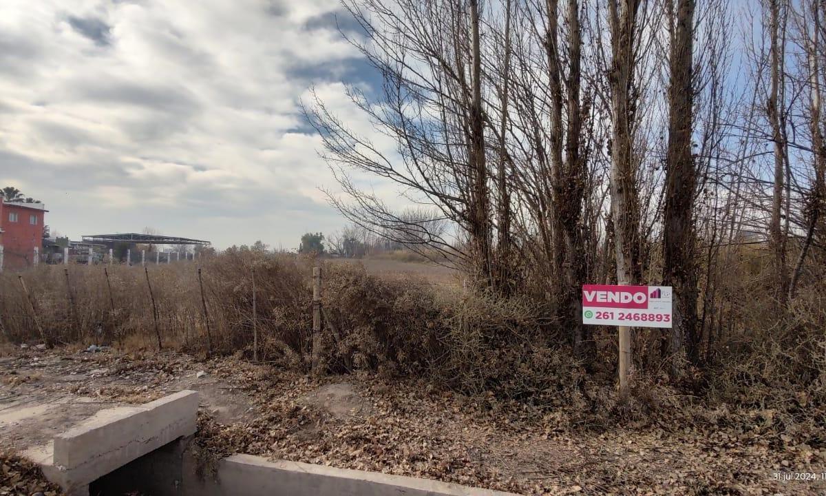 Foto de Terreno/ lote de 8900m en Los Corralitos, imagen 2