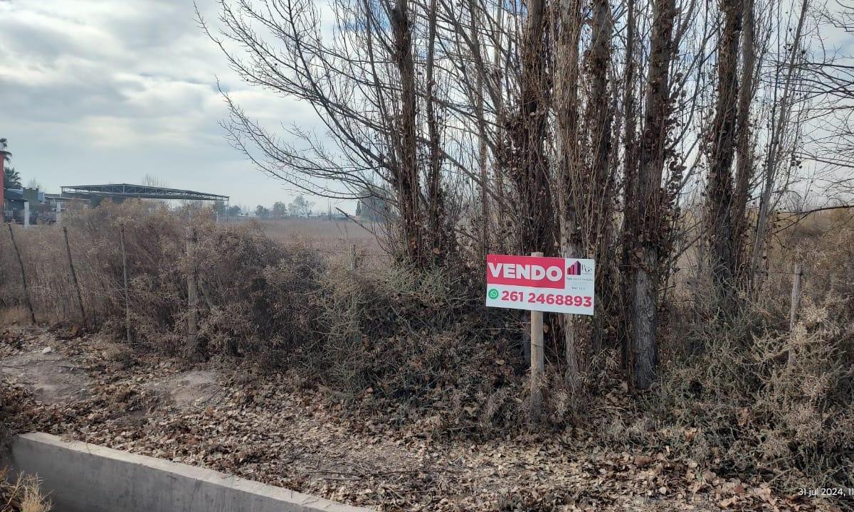 Foto de Terreno/ lote de 8900m en Los Corralitos, imagen 5