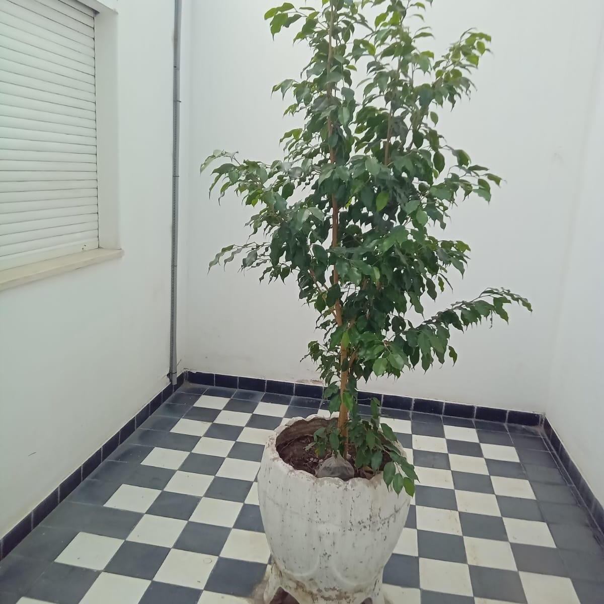 Foto de Casa Ciudad de San Juan, imagen 5