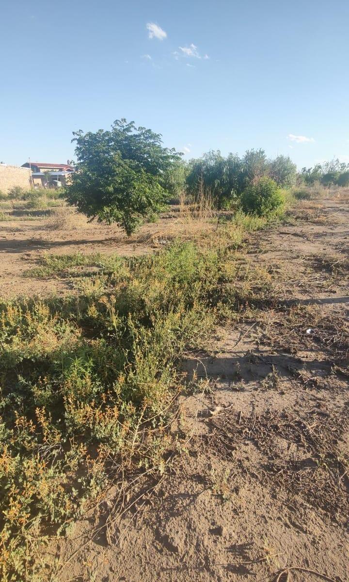 Terreno/ Lote en Mendrano, Junin 1