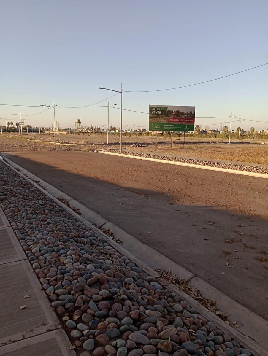 Foto de Lote en venta Maipu 320 m2, imagen 4